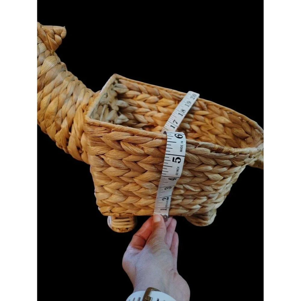 Dinosaur Rattan Wicker Plant Fruit Storage Decorative Planter